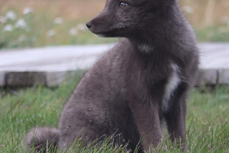 384452432_1077949306705653_1321134864329194723_n