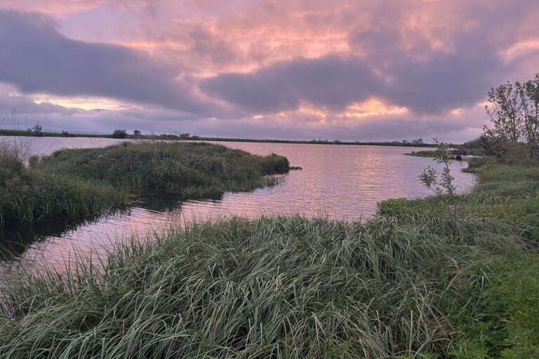 472047871_1110241710300717_7361853092197033339_n