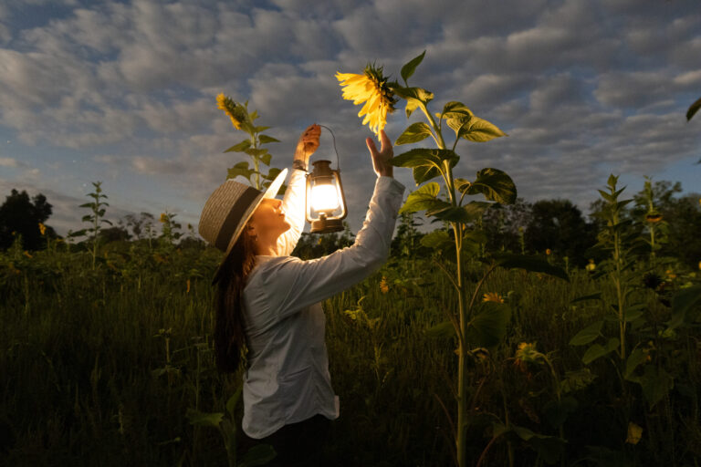 a woman with a lantern looking up at a sunflower