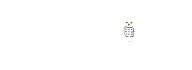 An Owl In Iceland