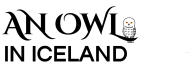 An Owl In Iceland