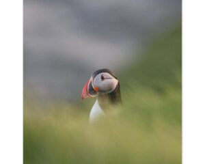 e388f045-277a-4107-9fb8-353ed6f96971